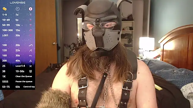 Snapshot of kinkywolf429 chatting on March 9, 2025, 6:43 pm kinkywolf429 online show from March 9, 2025, 6:43 pm