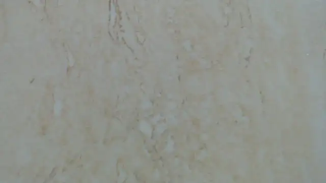 Crazy team  online show from December 29, 2024, 12:41 am