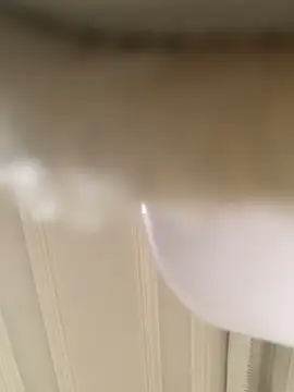 GHsveter online show from March 31, 2026, 10:50 am