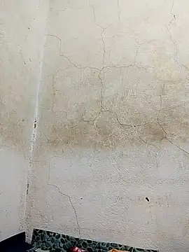 wet babexxx online show from November 18, 2025, 6:55 pm