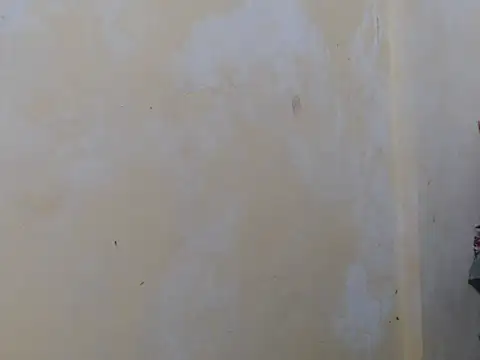 Snapshot of Alliayah_Hollyx chatting on October 19, 2025, 5:05 pm Alliayah Hollyx online show from October 19, 2025, 5:05 pm