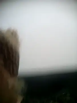 Snapshot of shaynarg chatting on March 6, 2025, 8:27 pm shaynarg online show from March 6, 2025, 8:27 pm