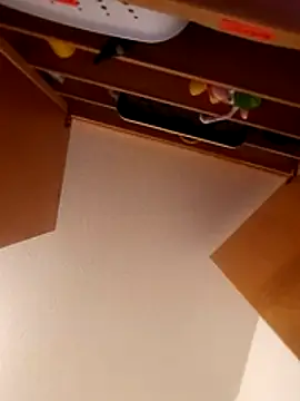 dro6969 online show from November 12, 2025, 4:38 am