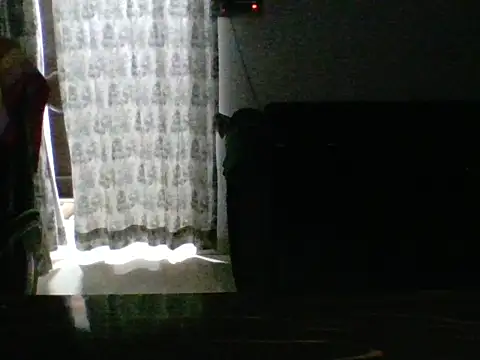 Wildguycums online show from April 3, 2026, 5:52 pm