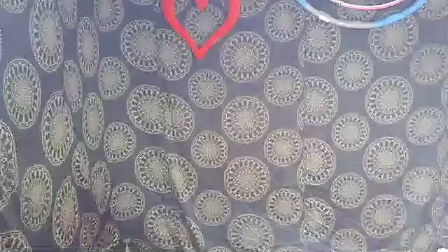 LunaRai online show from February 6, 2026, 3:13 am