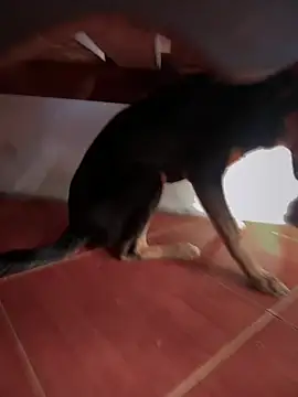 Snapshot of sweet_morbid_hot chatting on November 26, 2025, 6:52 pm sweet morbid hot online show from November 26, 2025, 6:52 pm