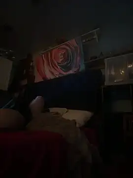 Snapshot of AshtonChicken chatting on February 20, 2026, 6:26 am AshtonChicken online show from February 20, 2026, 6:26 am