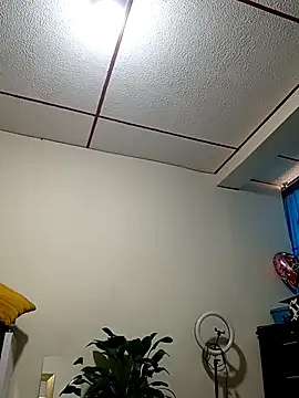 kelly dirty  online show from October 9, 2025, 1:11 pm