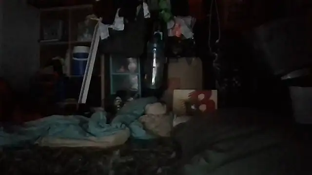 Snapshot of brandonontop chatting on February 11, 2026, 2:55 am brandonontop online show from February 11, 2026, 2:55 am