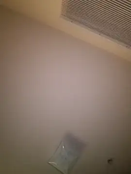 yellowwetfox online show from March 29, 2026, 3:41 am