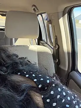 Snapshot of CarmelaAnthony chatting on February 12, 2026, 6:29 pm CarmelaAnthony online show from February 12, 2026, 6:29 pm