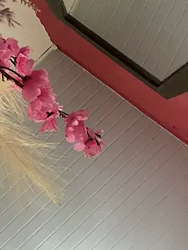 Snapshot of pimenta_gaby chatting on August 7, 2026, 12:33 pm pimenta gaby online show from August 7, 2026, 12:33 pm