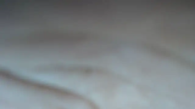 Snapshot of swt_shadow chatting on February 23, 2026, 6:52 pm swt shadow online show from February 23, 2026, 6:52 pm