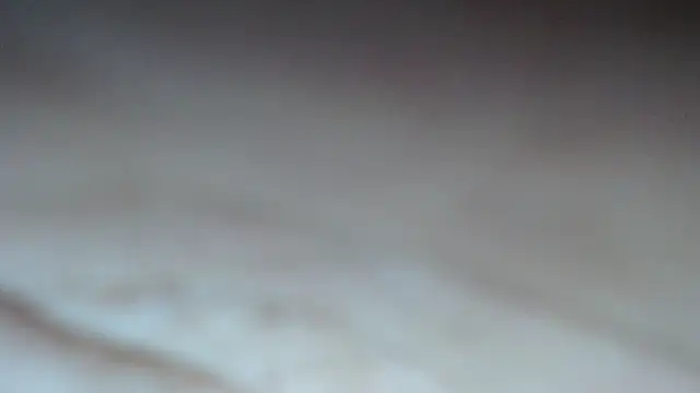 Snapshot of swt_shadow chatting on February 13, 2026, 7:36 pm swt shadow online show from February 13, 2026, 7:36 pm