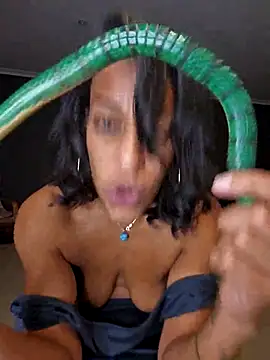 Goldenlace online show from December 13, 2025, 8:04 pm