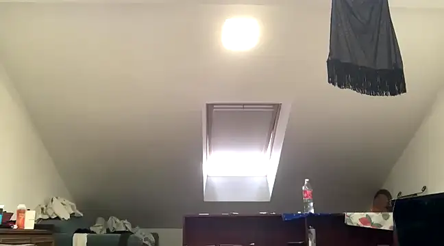 Snapshot of WildzMareNextLevel chatting on January 4, 2025, 9:54 am WildzMareNextLevel online show from January 4, 2025, 9:54 am