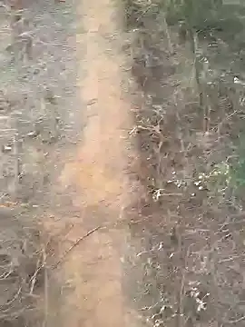 Gopal1243 online show from February 10, 2025, 2:08 am