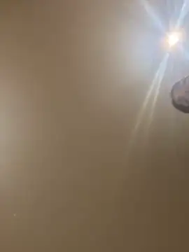 divavirtual11 online show from October 23, 2025, 6:56 am