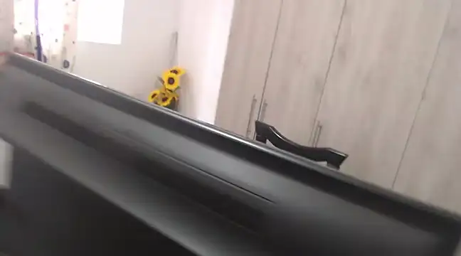 Snapshot of agatfox chatting on January 4, 2025, 2:25 pm agatfox online show from January 4, 2025, 2:25 pm