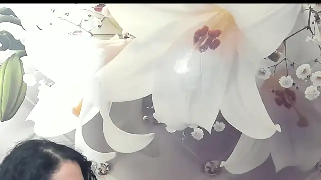 Snapshot of SweetArtemis chatting on February 23, 2025, 11:04 pm SweetArtemis online show from February 23, 2025, 11:04 pm