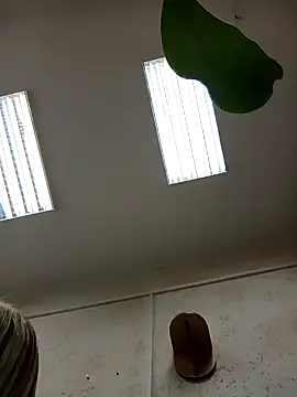 Snapshot of Office_Albertina chatting on January 18, 2026, 10:13 pm Office Albertina online show from January 18, 2026, 10:13 pm