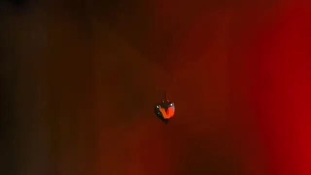 Youlittlepervertt  online show from March 1, 2026, 11:49 pm