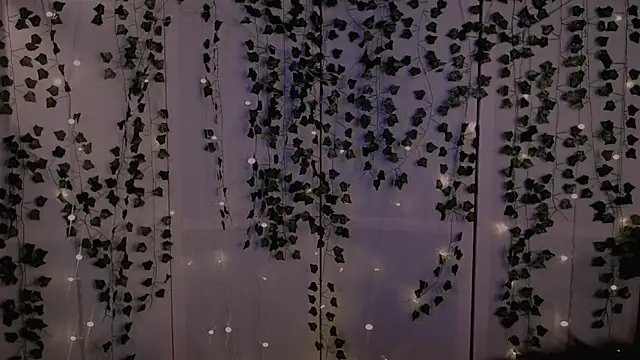 risha laas online show from September 26, 2025, 8:16 pm