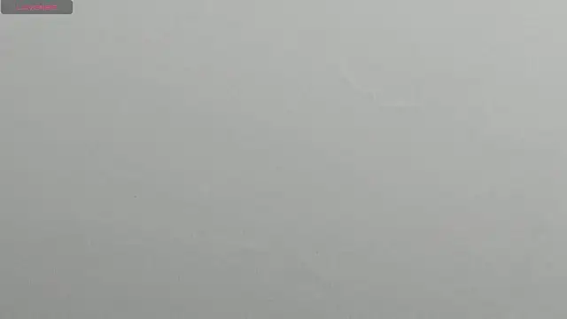 Snapshot of natasha_logan_ chatting on March 11, 2025, 3:58 am natasha logan online show from March 11, 2025, 3:58 am
