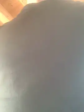 Fellix online show from February 17, 2025, 11:34 am