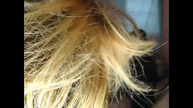 lover 1994 online show from March 27, 2026, 12:06 pm