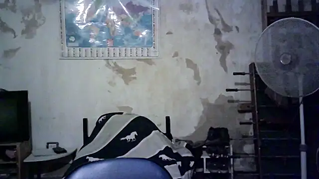 Emv2 online show from November 26, 2025, 4:56 am