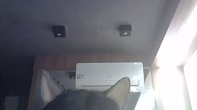 Skinny-Kitten online show from May 28, 2026, 4:57 pm