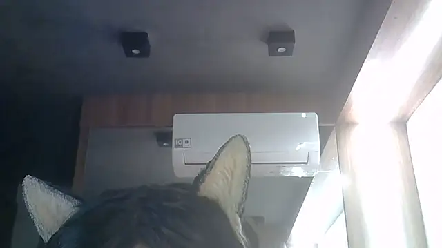 Skinny-Kitten online show from June 15, 2026, 8:36 am