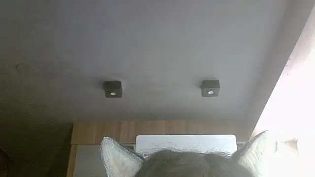 Skinny-Kitten online show from May 14, 2026, 9:17 am