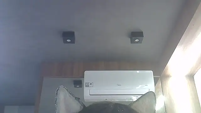 Skinny-Kitten online show from January 16, 2026, 4:05 am