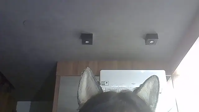 Skinny-Kitten online show from February 14, 2026, 1:39 am