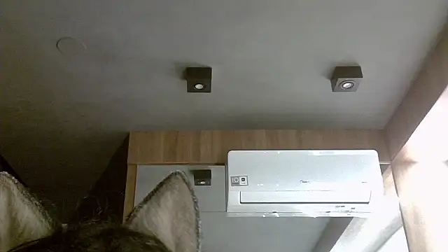 Skinny-Kitten online show from November 5, 2025, 3:09 am