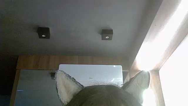 Skinny-Kitten online show from July 16, 2026, 4:48 pm