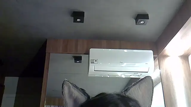 Snapshot of Skinny-Kitten chatting on September 30, 2025, 9:32 pm Skinny-Kitten online show from September 30, 2025, 9:32 pm