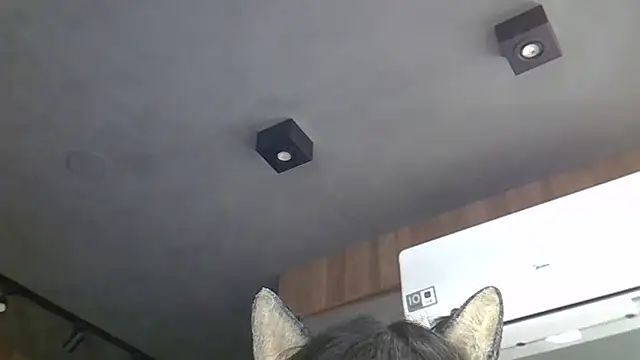 Skinny-Kitten online show from March 4, 2026, 5:26 am