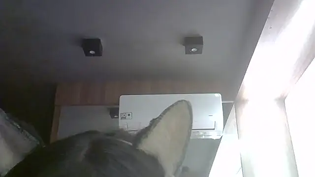Skinny-Kitten online show from May 26, 2026, 8:51 pm