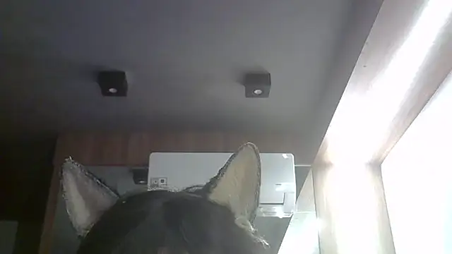 Skinny-Kitten online show from May 22, 2026, 2:59 pm