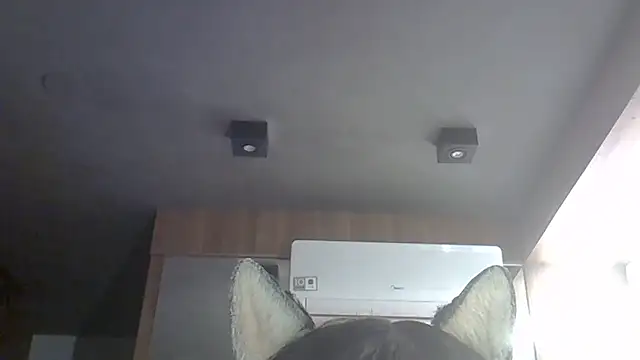 Skinny-Kitten online show from May 18, 2026, 1:06 am