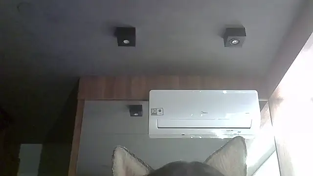 Snapshot of Skinny-Kitten chatting on October 4, 2025, 12:23 am Skinny-Kitten online show from October 4, 2025, 12:23 am