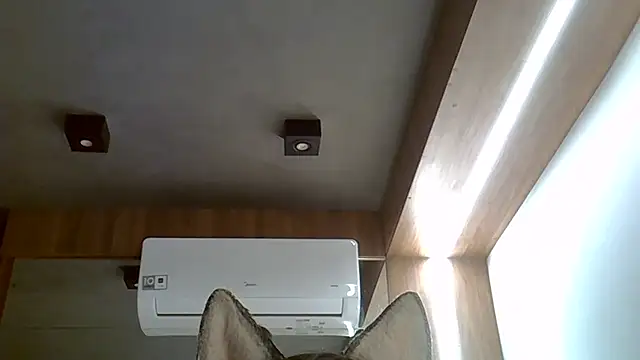 Snapshot of Skinny-Kitten chatting on September 20, 2025, 2:49 am Skinny-Kitten online show from September 20, 2025, 2:49 am