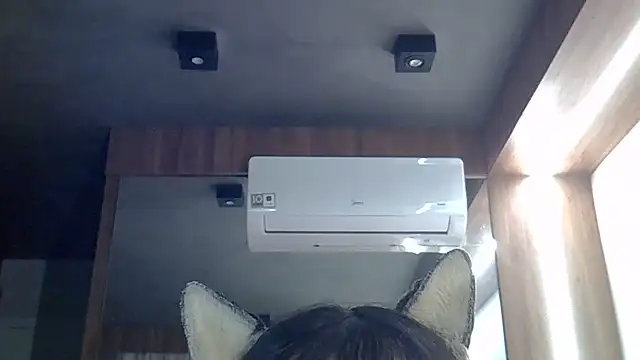 Skinny-Kitten online show from June 26, 2026, 11:38 am