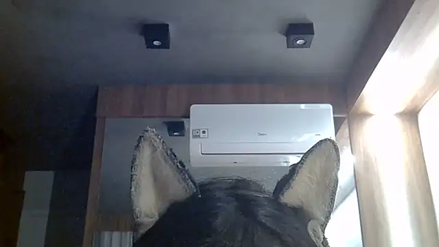 Skinny-Kitten online show from June 30, 2026, 2:06 pm