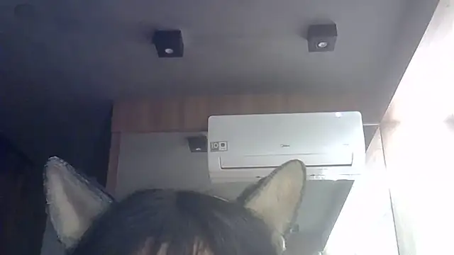 Skinny-Kitten online show from July 1, 2026, 2:34 am