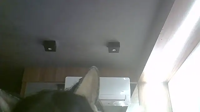 Skinny-Kitten online show from May 17, 2026, 11:10 am