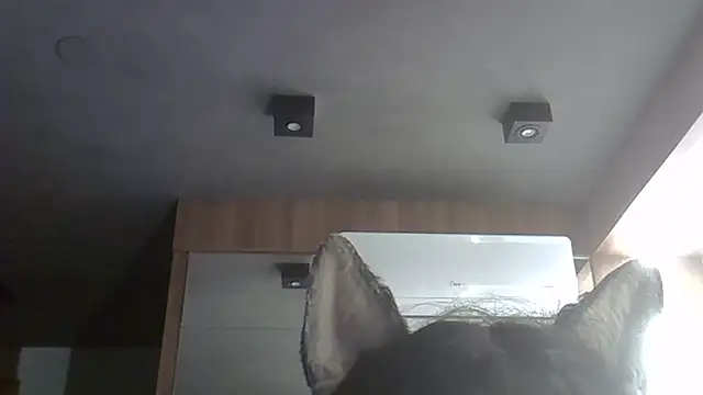 Skinny-Kitten online show from February 9, 2026, 10:24 am